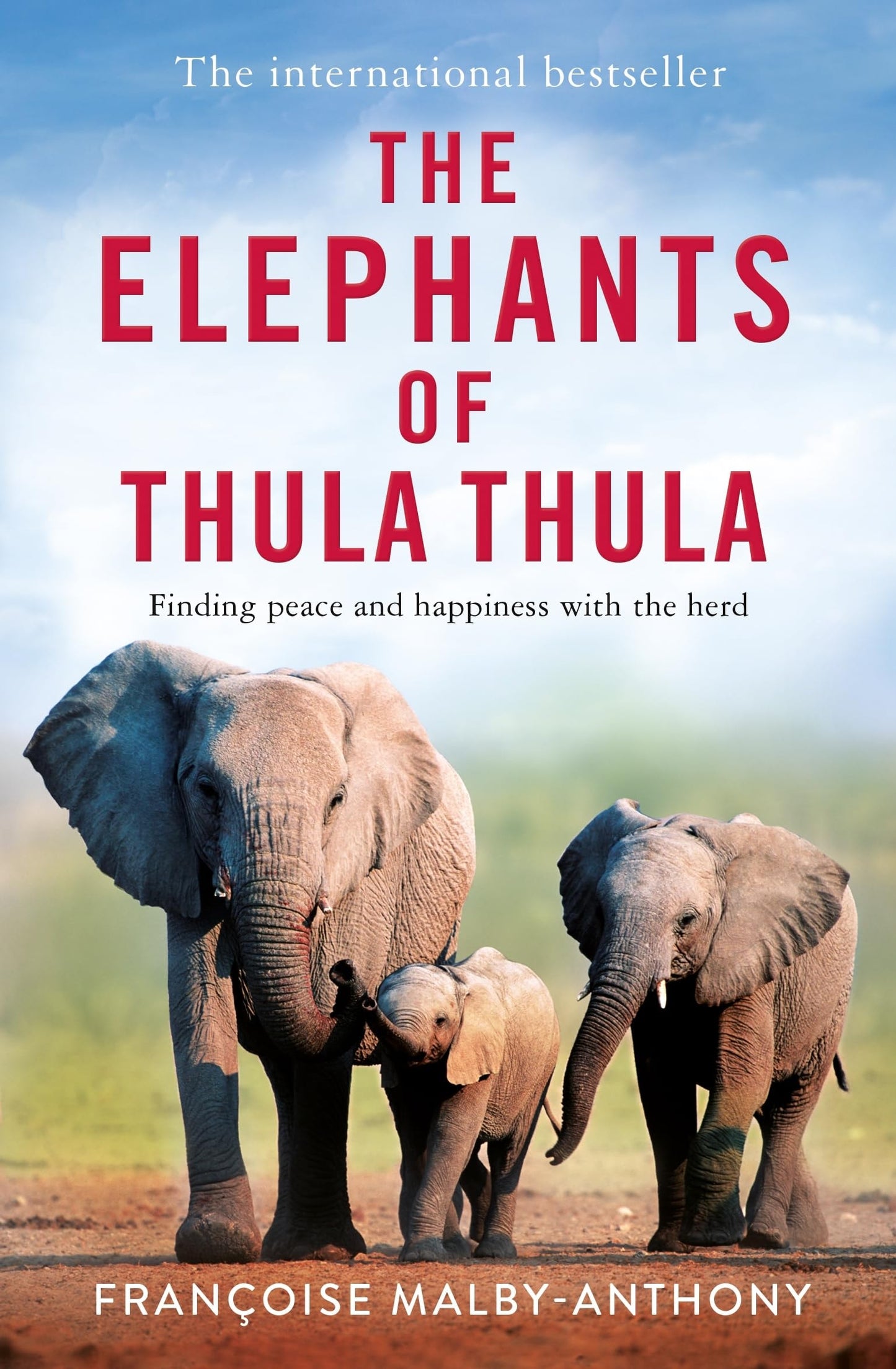 The Elephants of Thula Thula Finding Peace and Happiness with the Herd