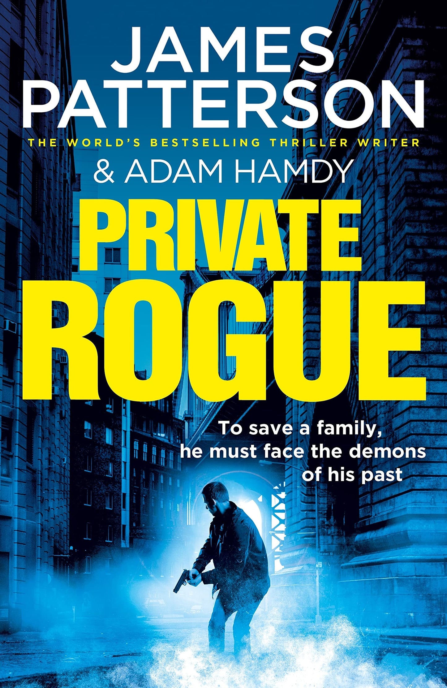 Private Rogue (Private 16)