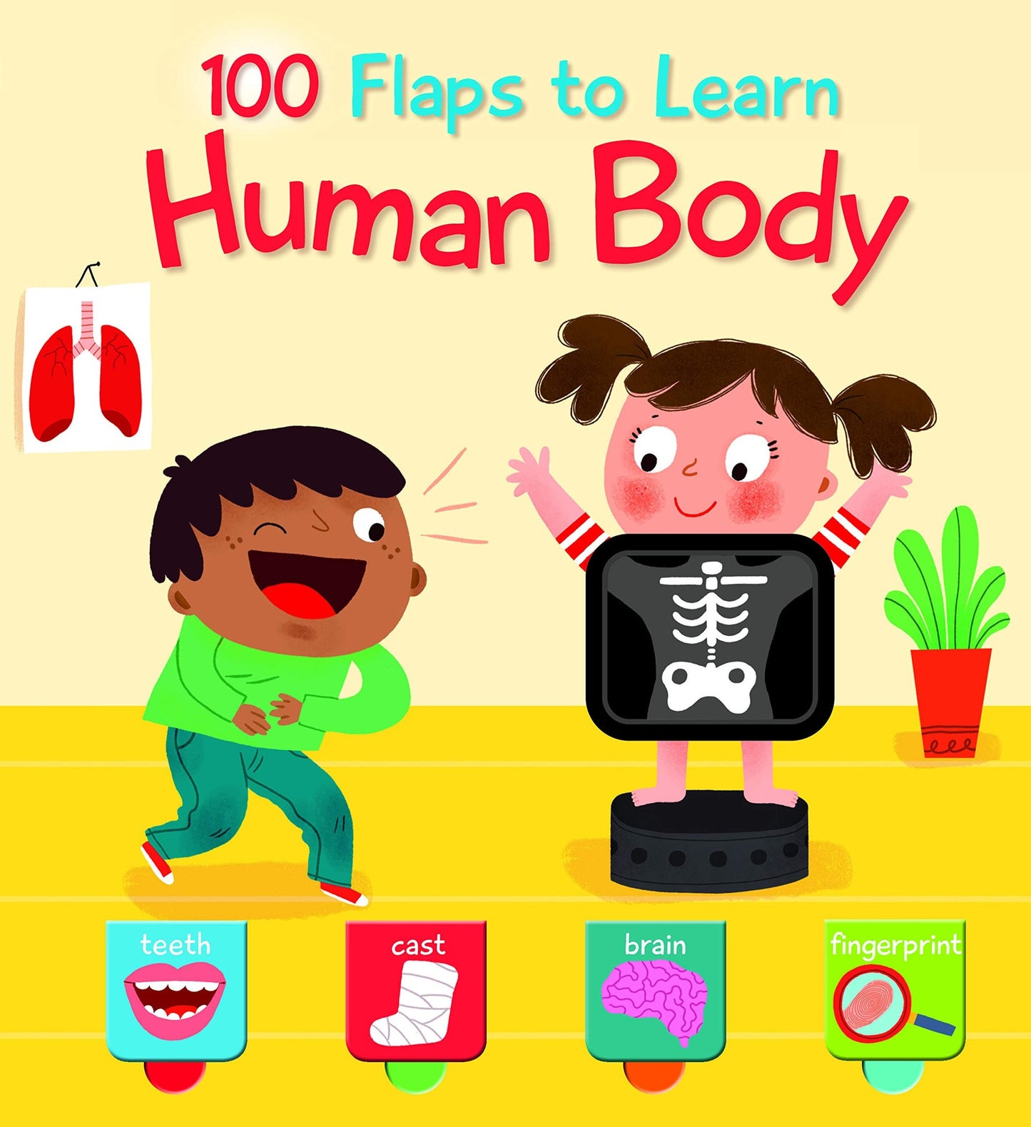 Human Body