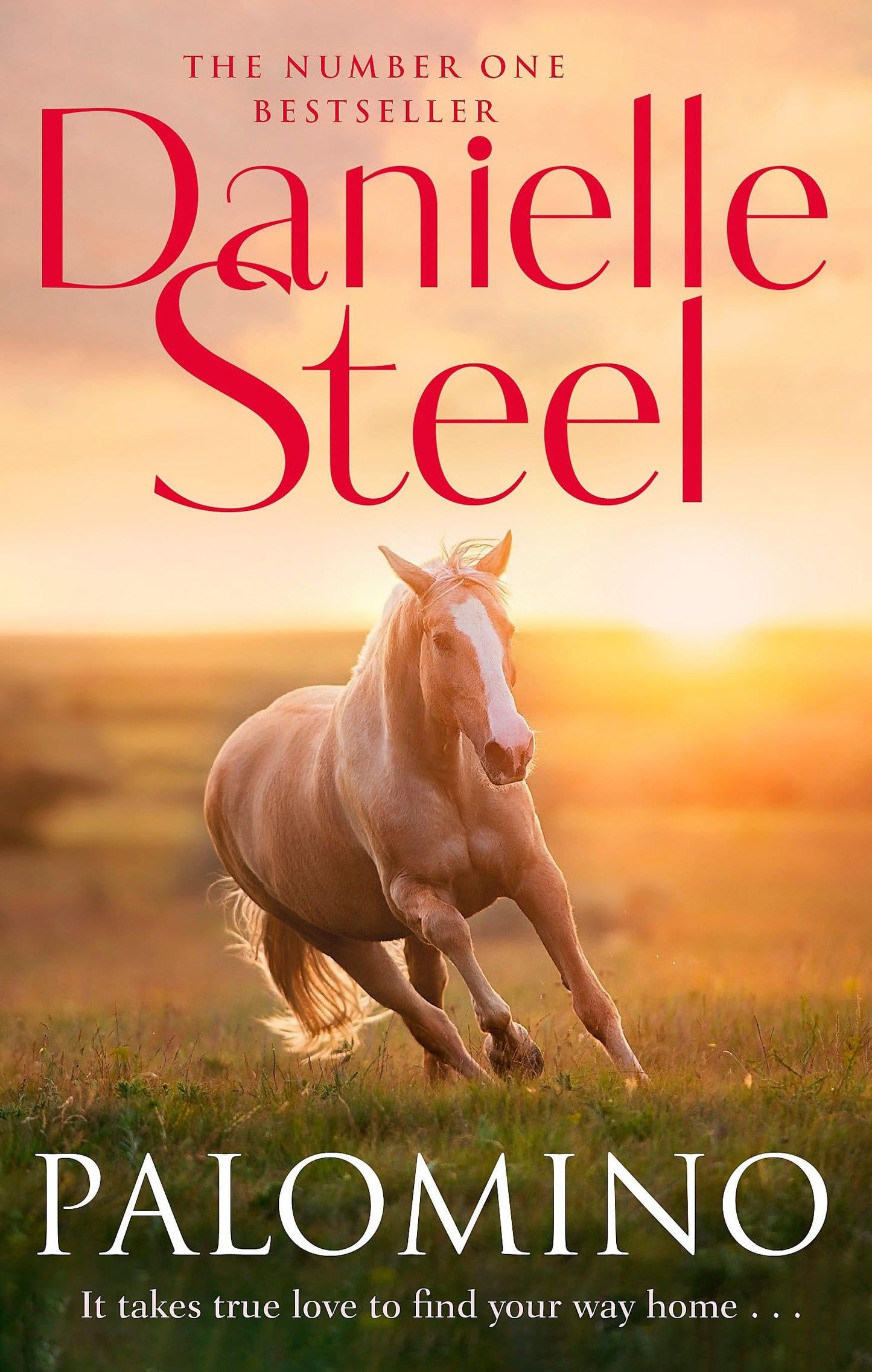 Palomino An Epic, Unputdownable Read from the Worldwide Bestseller