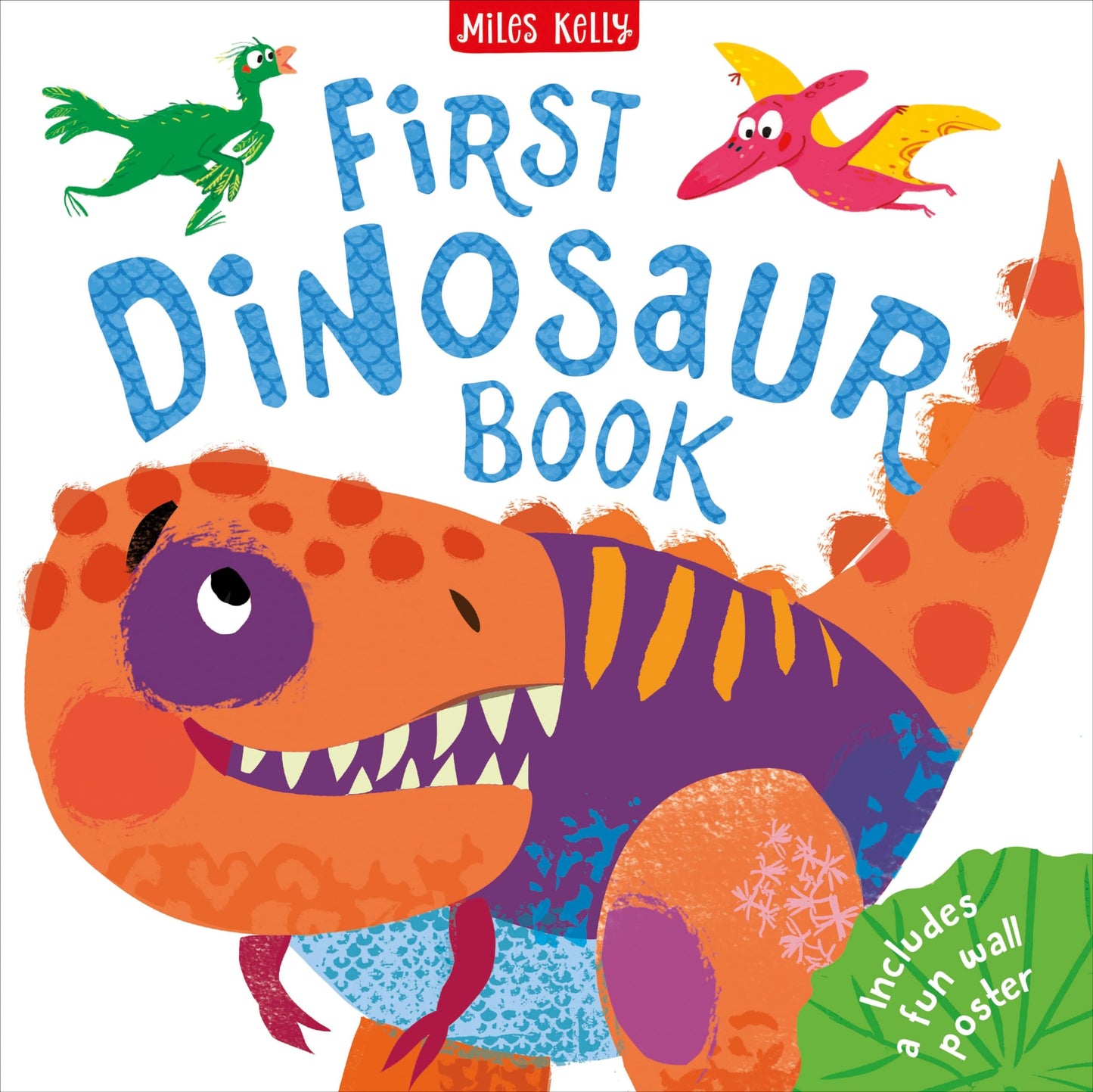 C48HB First Dinosaur Book