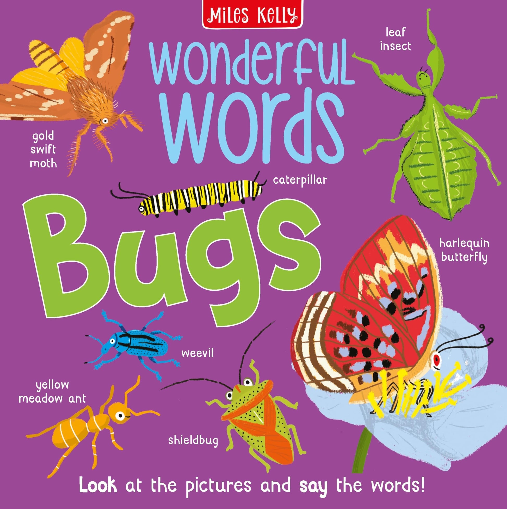 WONDERFUL WORDS BUGS