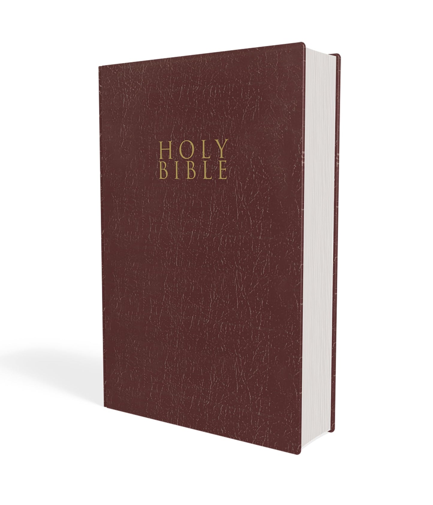 NIV Gift and Award Bible Red Letter Edition [Burgundy]
