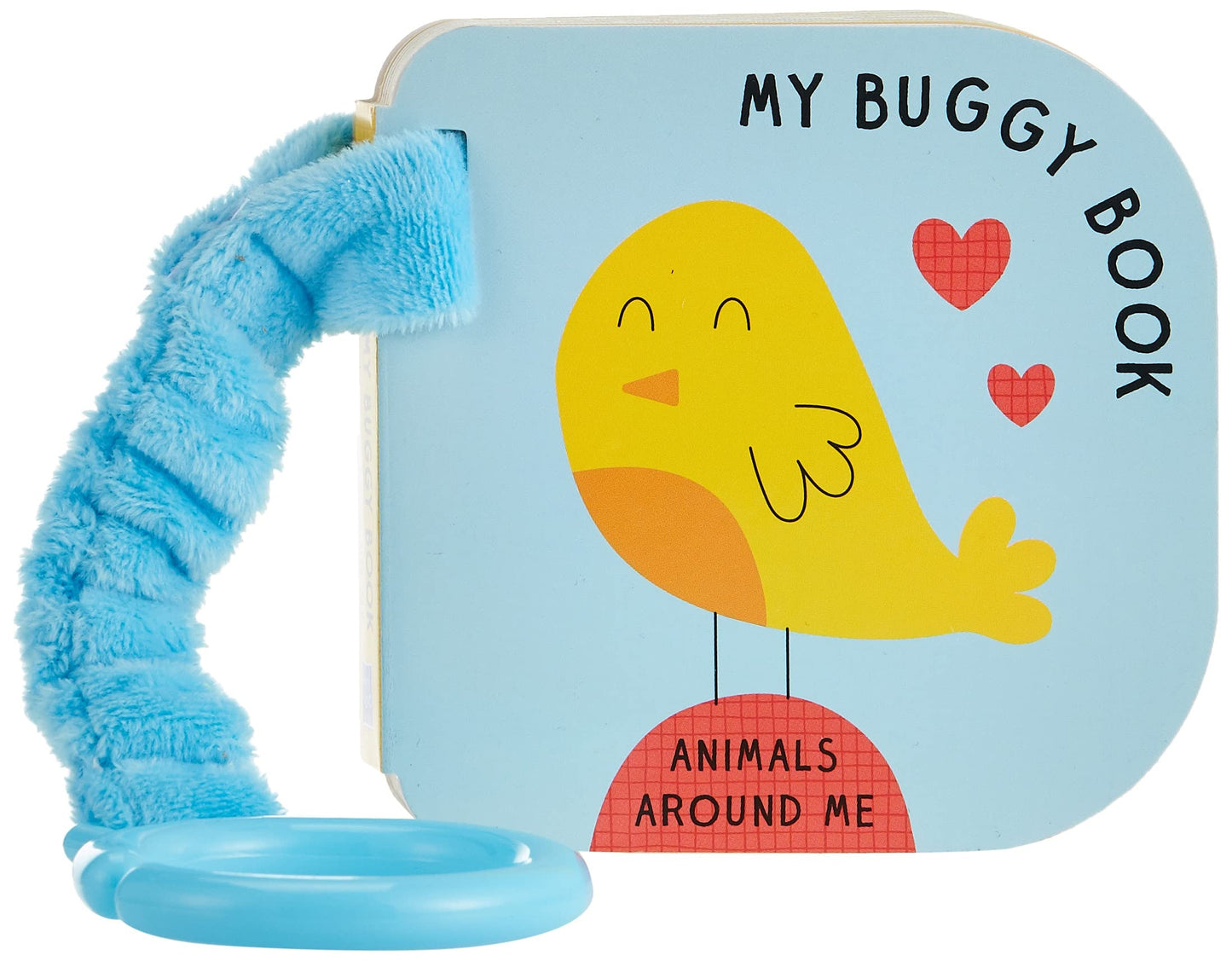 Animals Around Me (My Buggy Book): Pets