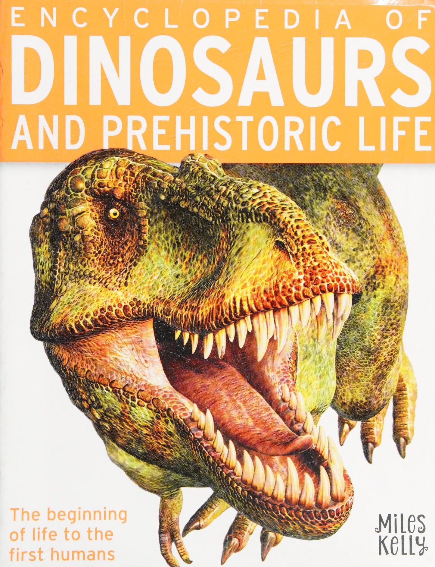 Encyclopedia of Dinosaurs and Prehistoric Life