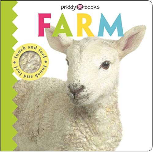 Touch and Feel Friends Farm Touch and Feel Friends