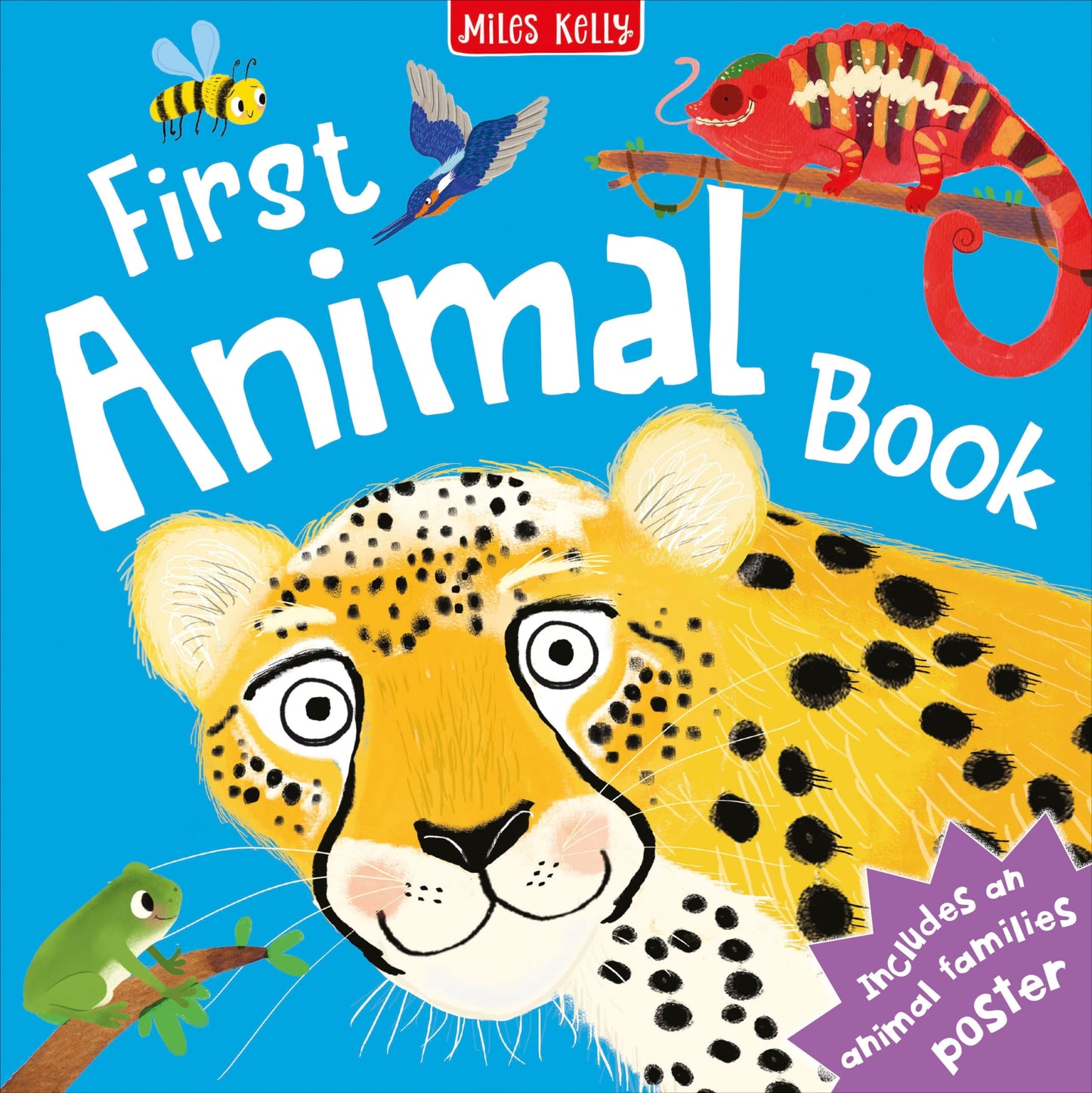 C48HB First Animal Book