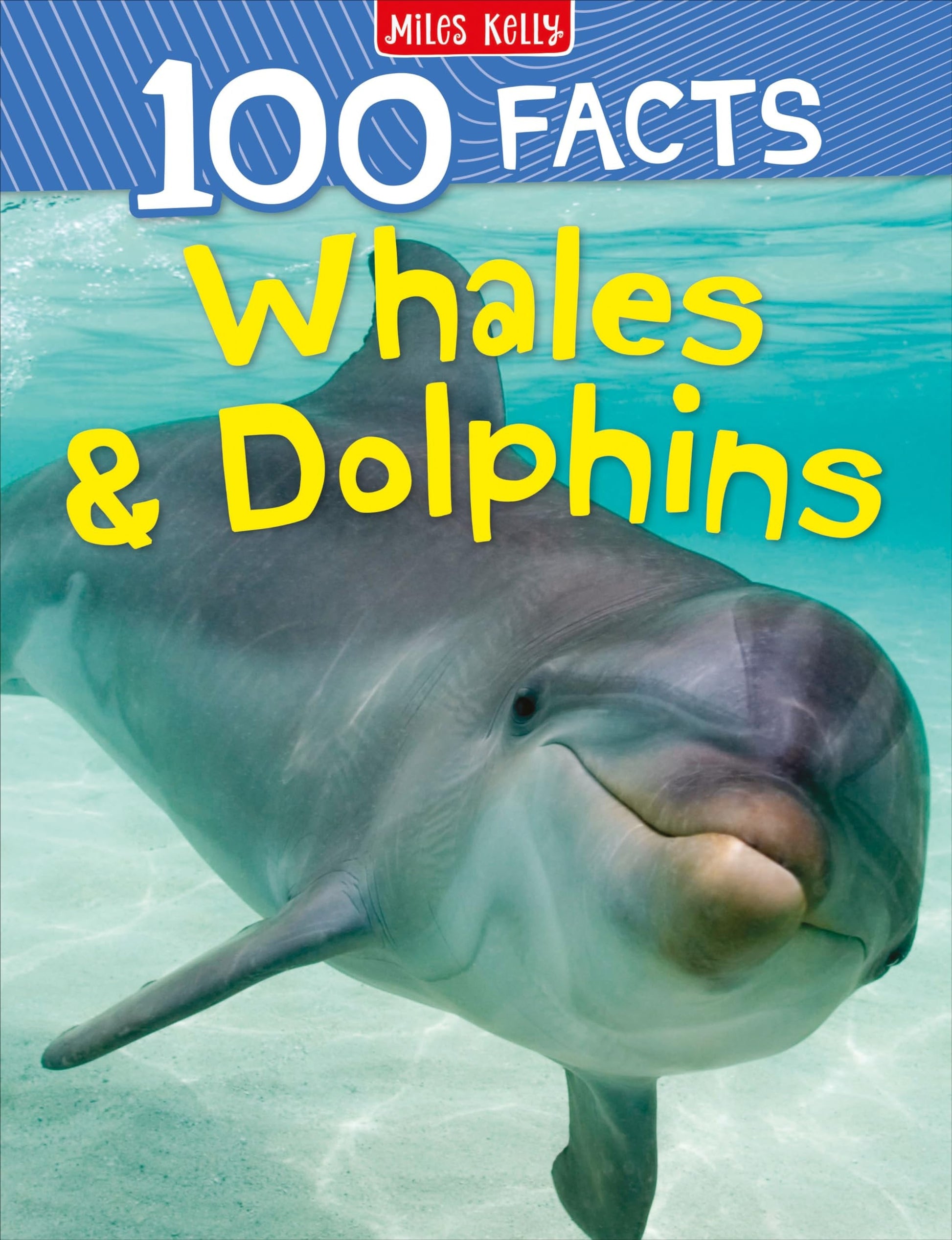 Whales & Dolphins_100 Facts PB