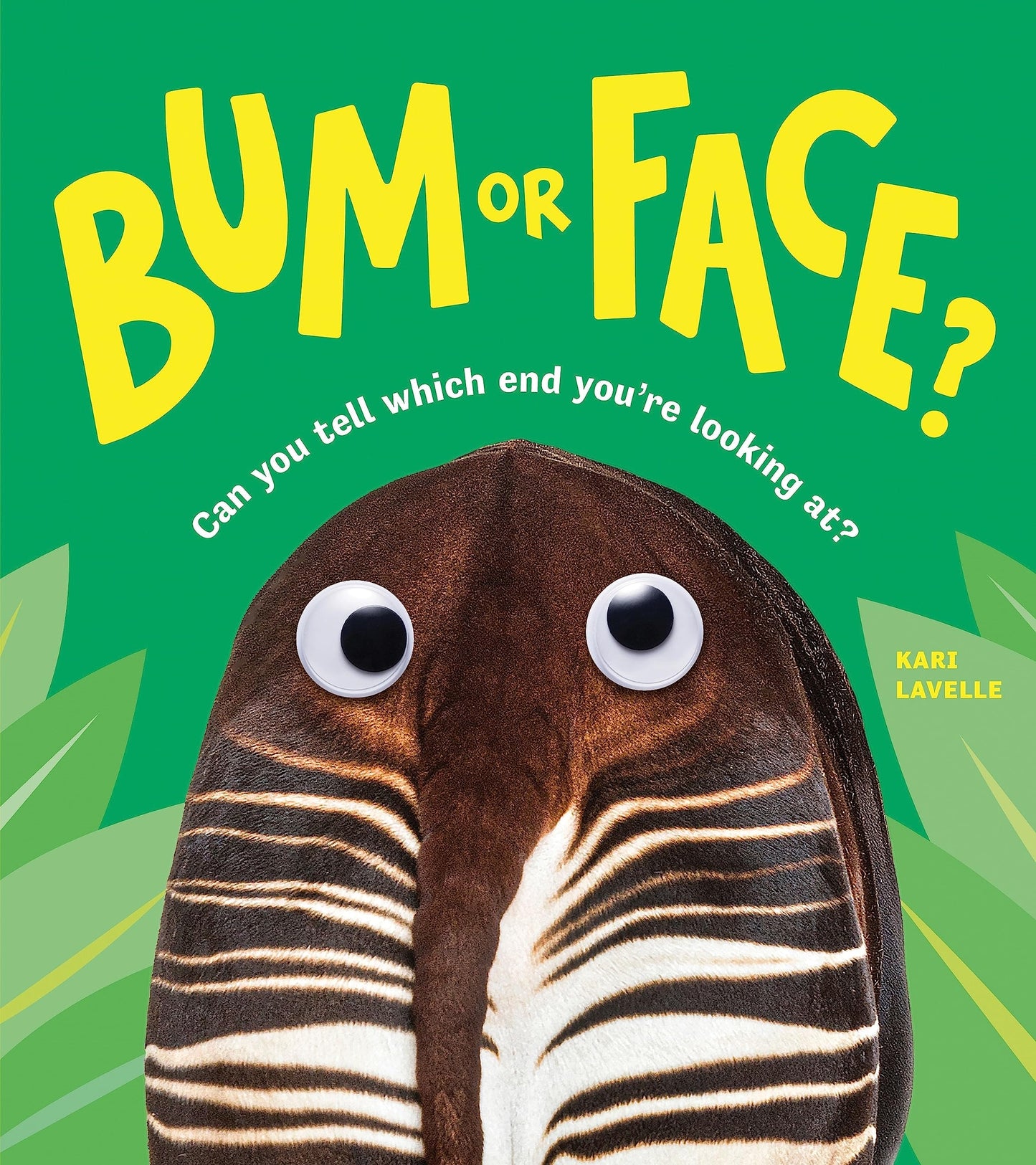 Bum Or Face