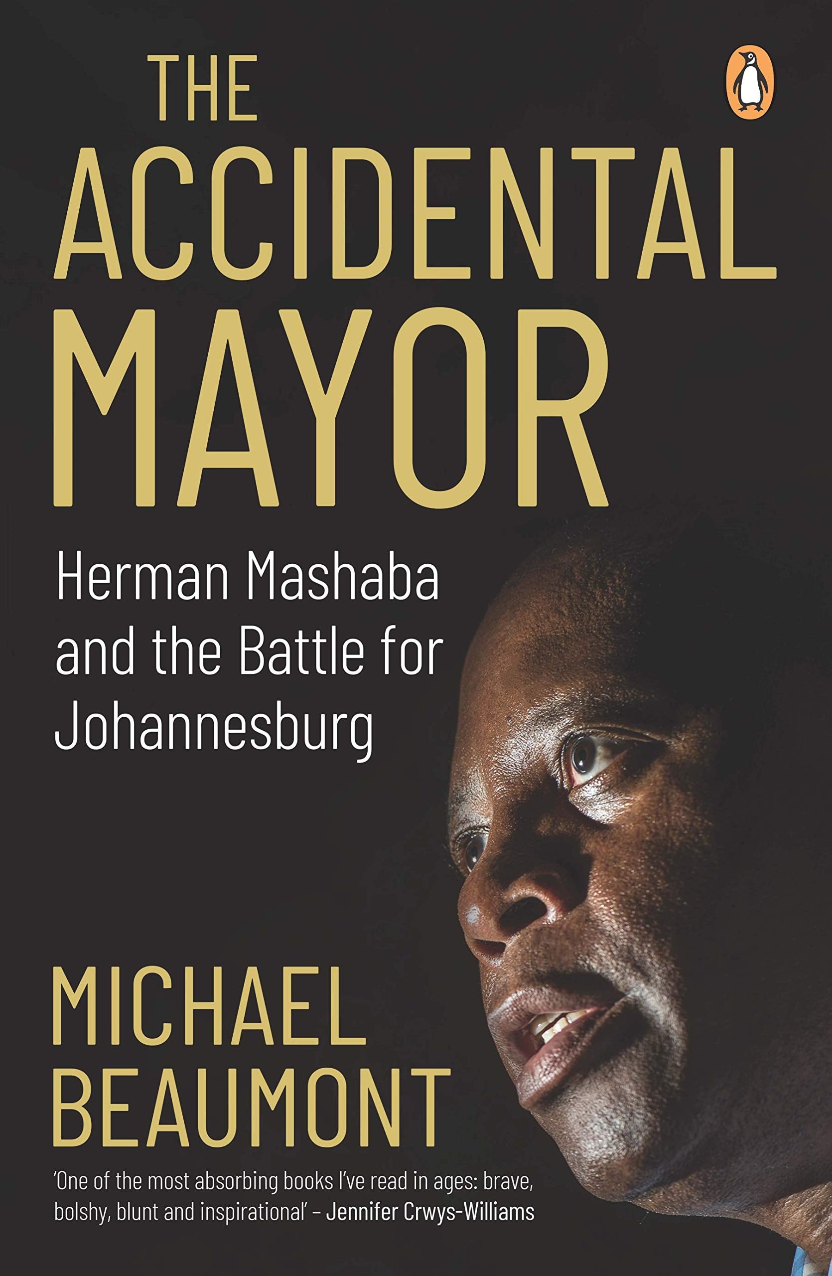 The Accidental Mayor Herman Mashaba and the Battle for Johannesburg